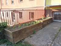 /album/fotogalerie-ms-husova/img-2846-jpg/