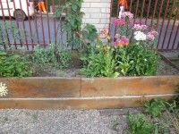 /album/fotogalerie-ms-husova/img-2849-jpg/